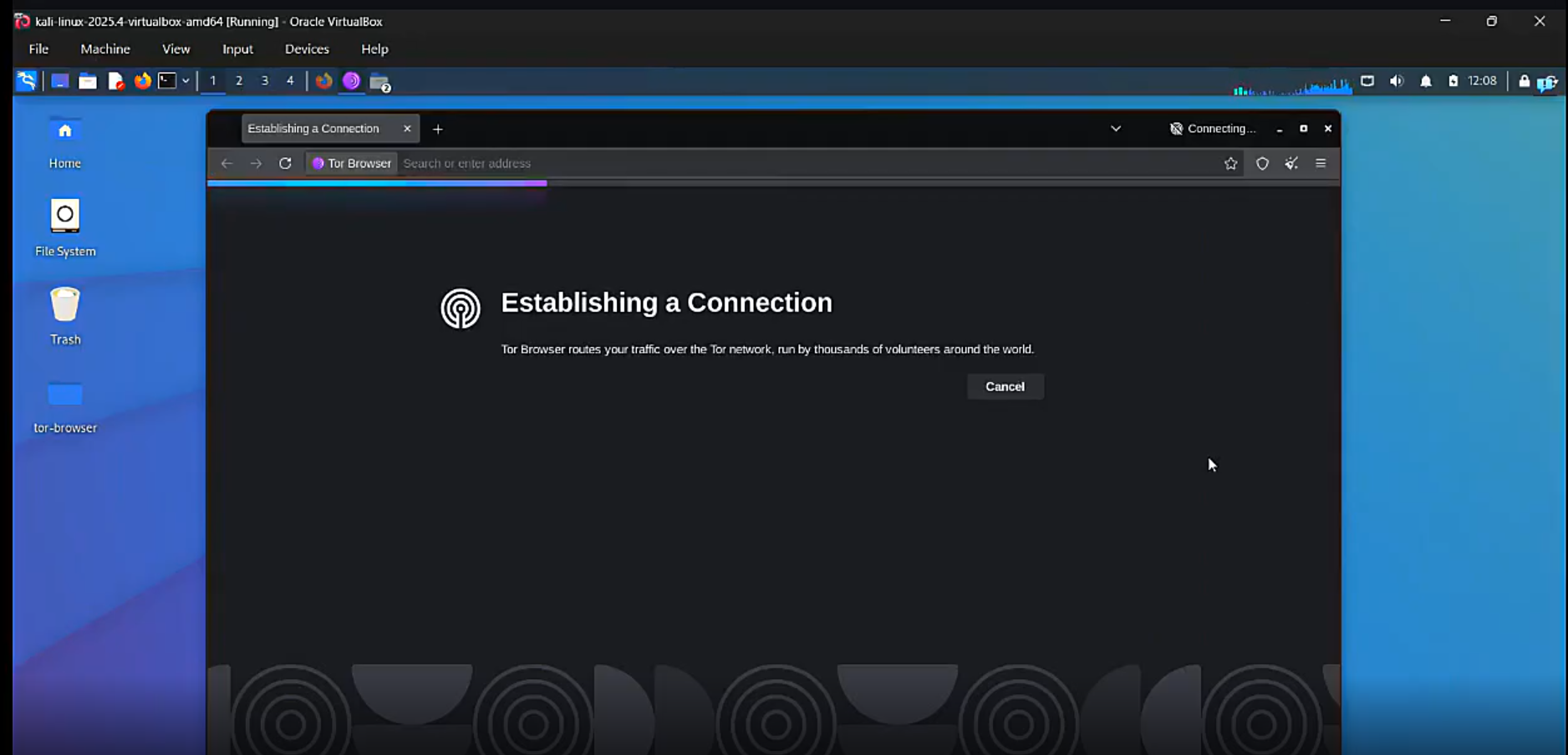 Tor Network